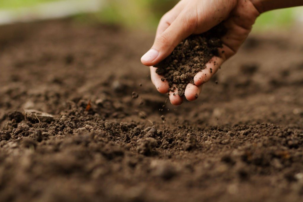 A close-up of a hand gently releasing loose soil onto the ground highlights essential soil health strategies, with the background slightly blurred to emphasize the earth and careful gardening action.