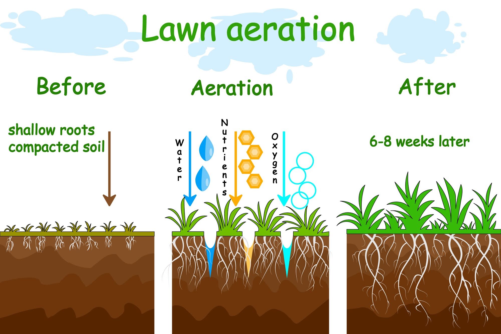 Diagram of lawn aeration: before, grass has shallow roots in compact soil; during aeration, water, nutrients, and oxygen enter soil; after 6-8 weeks, grass has deeper roots in loose soil—making aeration an essential practice for property managers dedicated to effective lawn care.