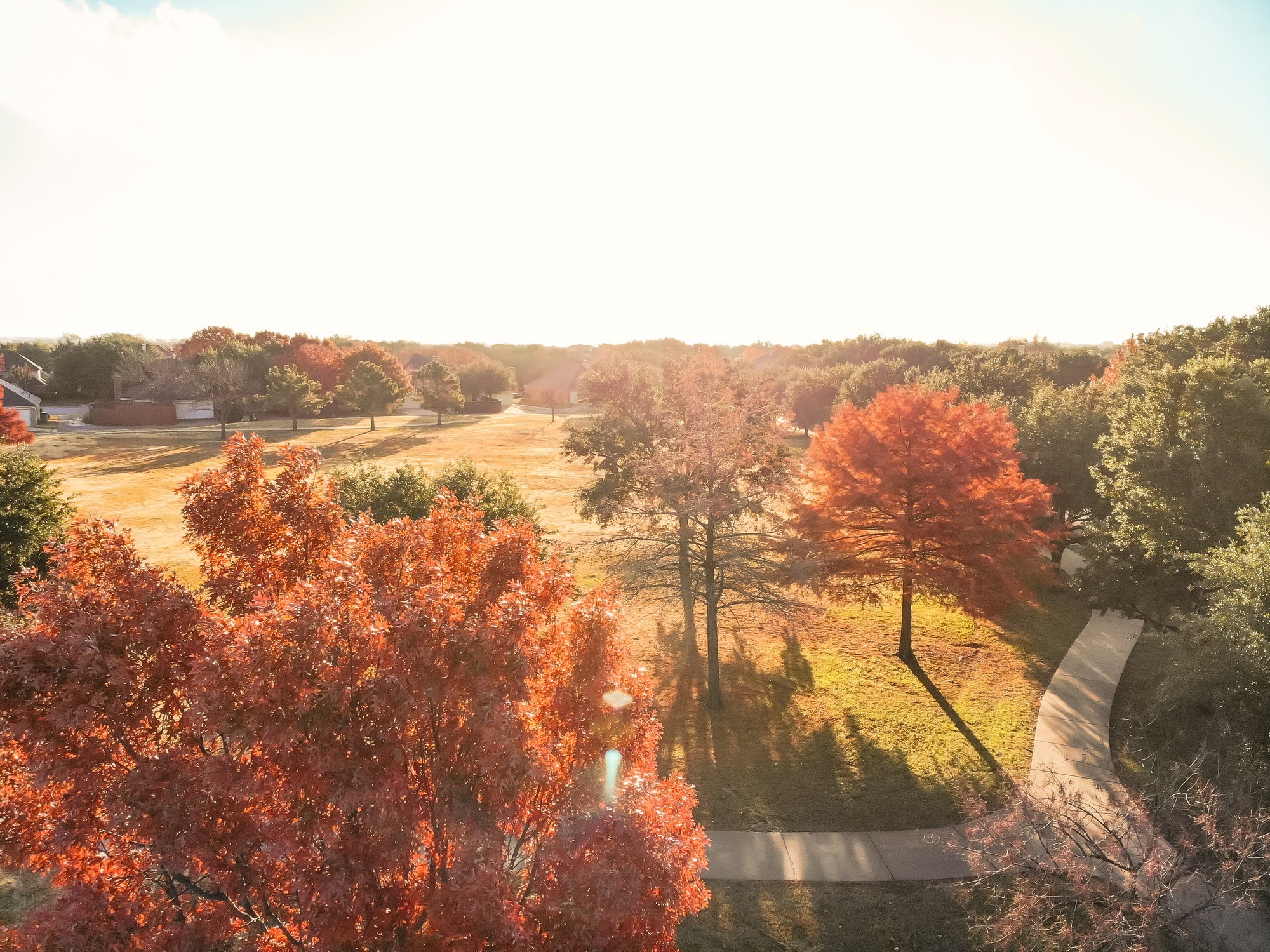 A sunlit park with walking paths curves through autumn trees, their leaves bright orange and red, surrounded by grassy areas and distant houses.