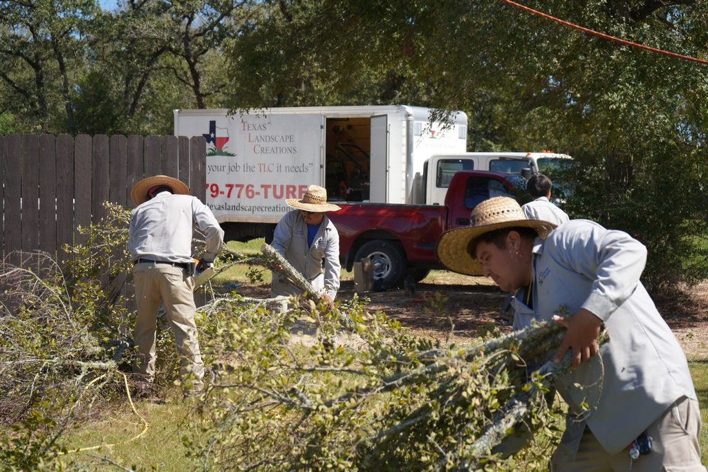 Three workers in straw hats clear tree branches outdoors as part of a landscape renovations project. Behind them is a red truck and white trailer with a landscaping company sign, set against the backdrop of trees and a wooden fence on a sunny fall day in Central Texas.